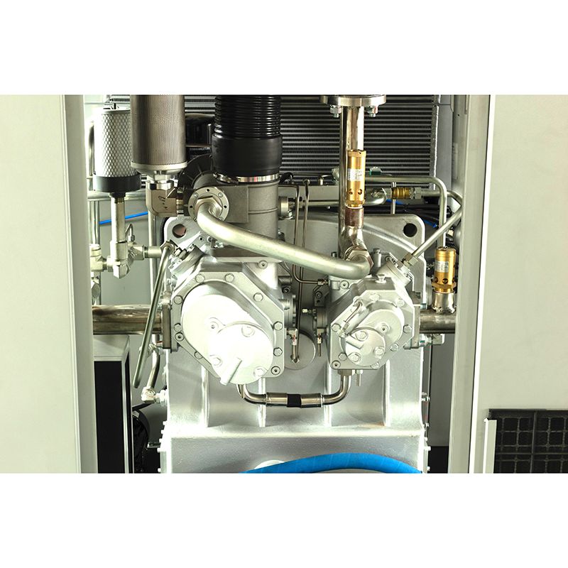 Dry Oil-Free VSD Compressor